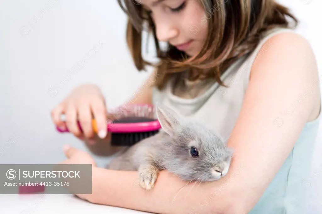 Girl brushing her rabbits in a bathroom