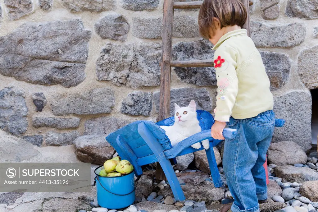 Girl carrying a kitten 4 months in his wheelbarrow