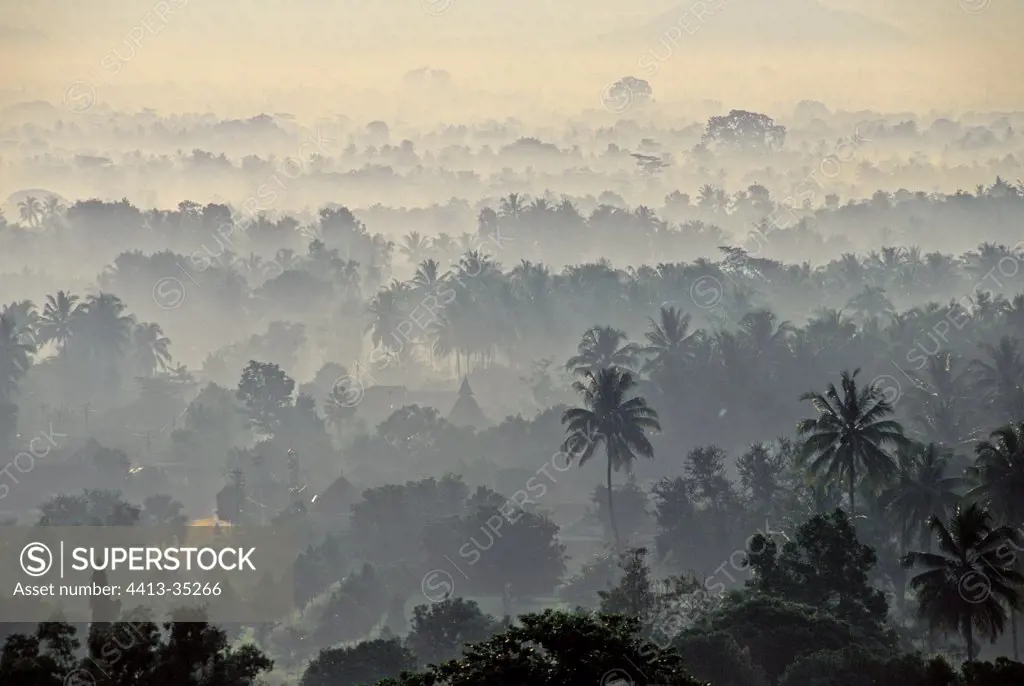 Fog at daybreak on the tropical forest Borobudur Indonesia