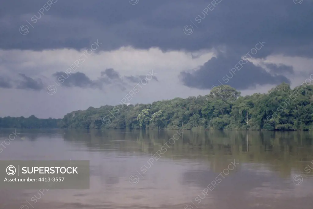 Sangha river and its forest gallery Ouesso Congo