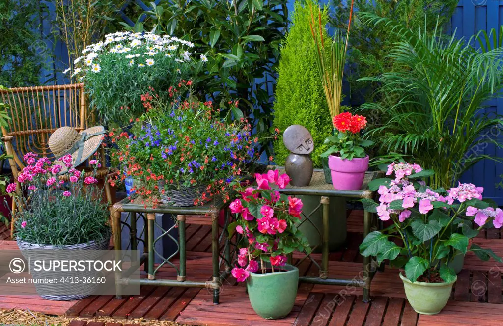 Flowered garden terrace