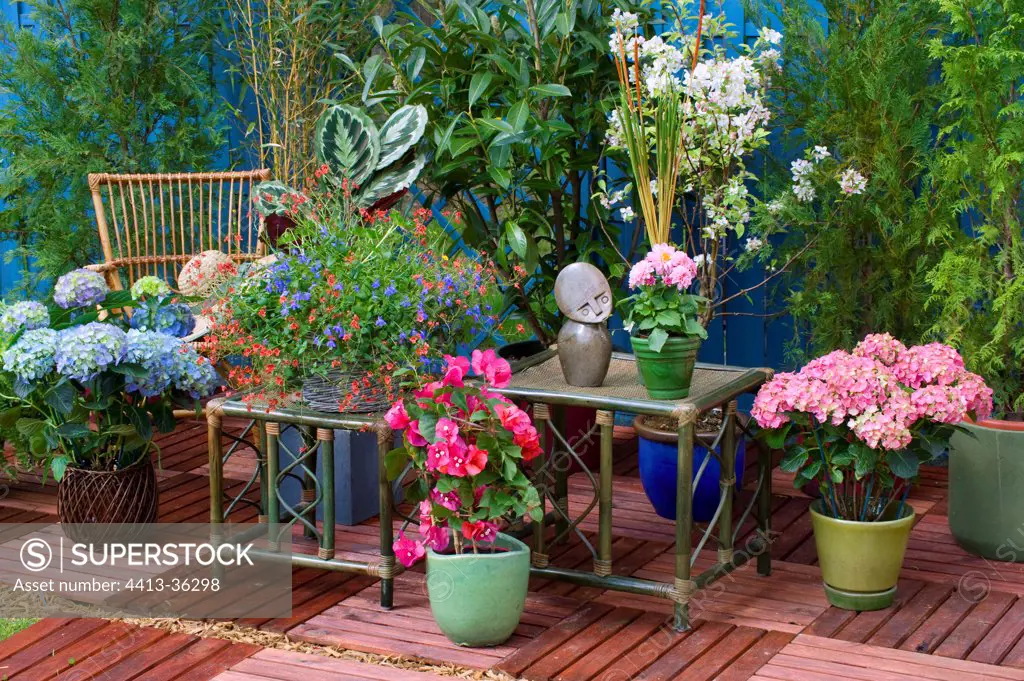 Flowered garden terrace