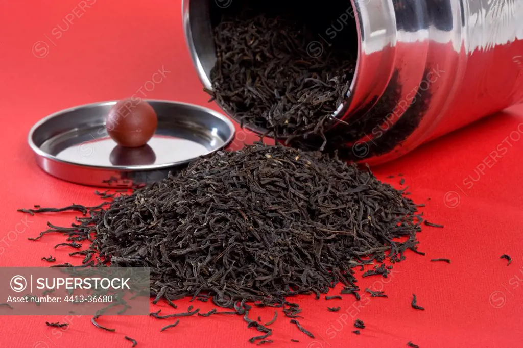 Tea and its box on a red background