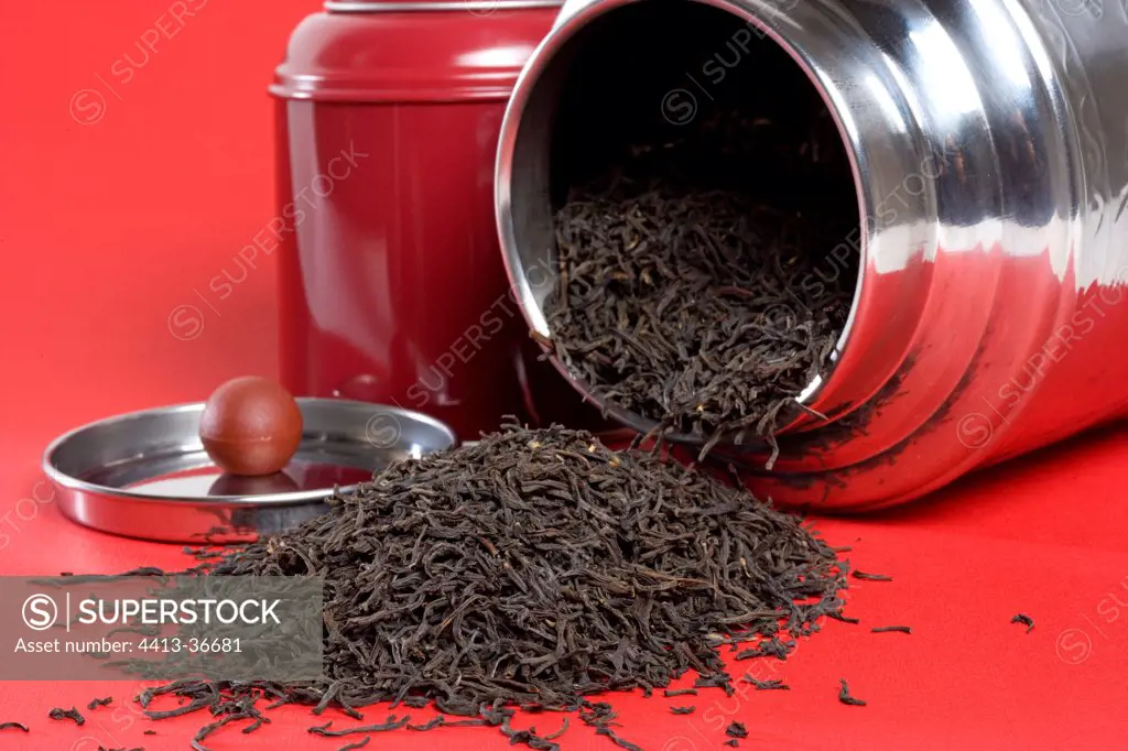 Tea and its box on a red background