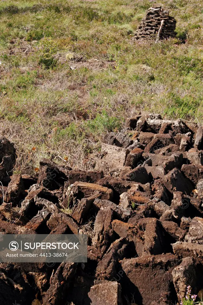 Peat blocks drying Doubs France