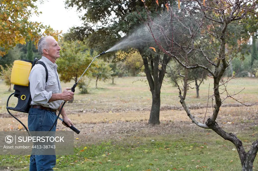 Man treating trees by pulverization in a garden in autumn