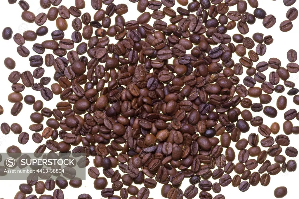 Coffee beans roasted on a white background