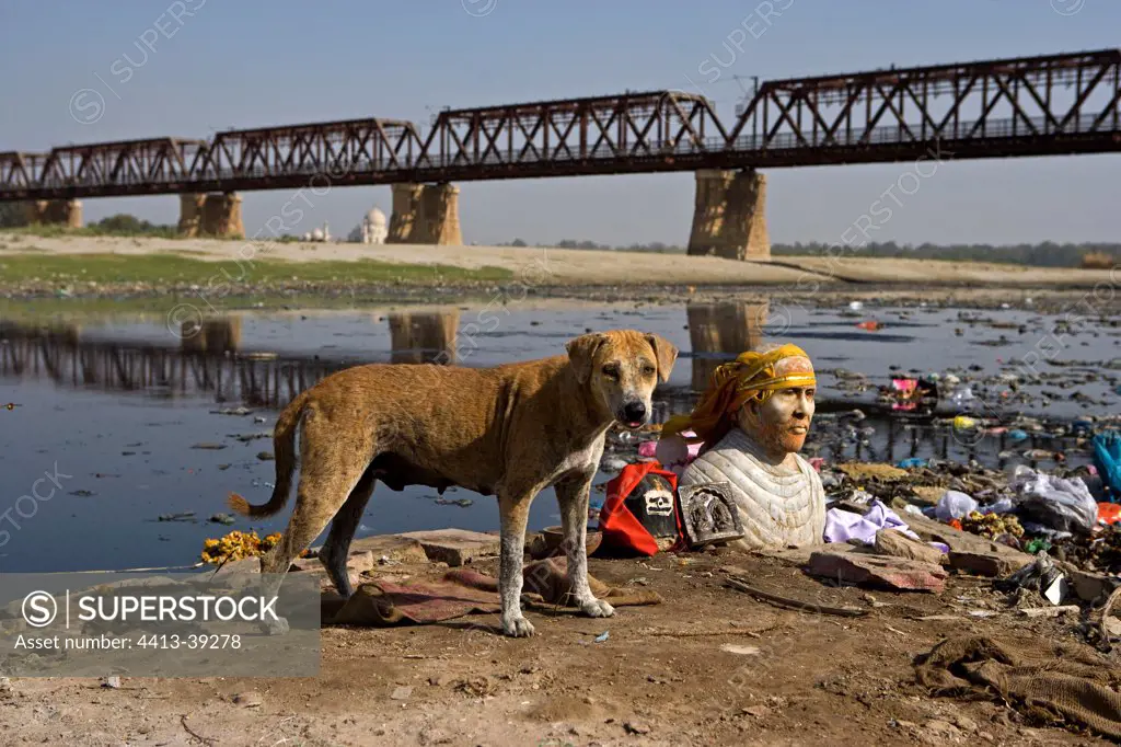 Divinity bust and Dog riverside Yamouna Agra Uttar Pradesh