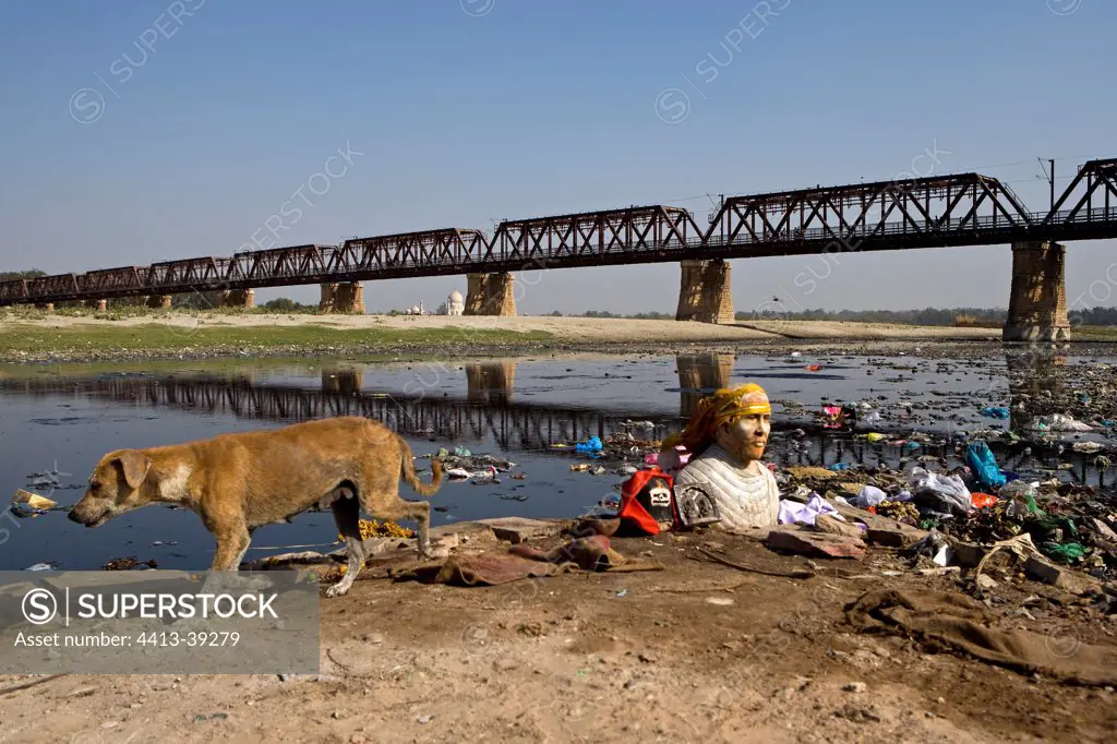 Divinity bust and Dog riverside Yamouna Agra Uttar Pradesh