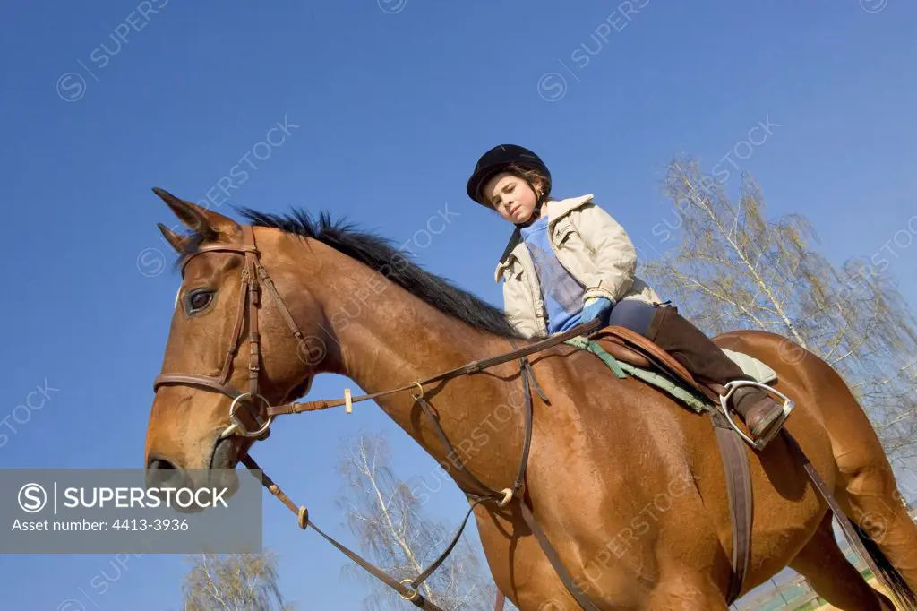 Young rider on a Selle Français Horse France
