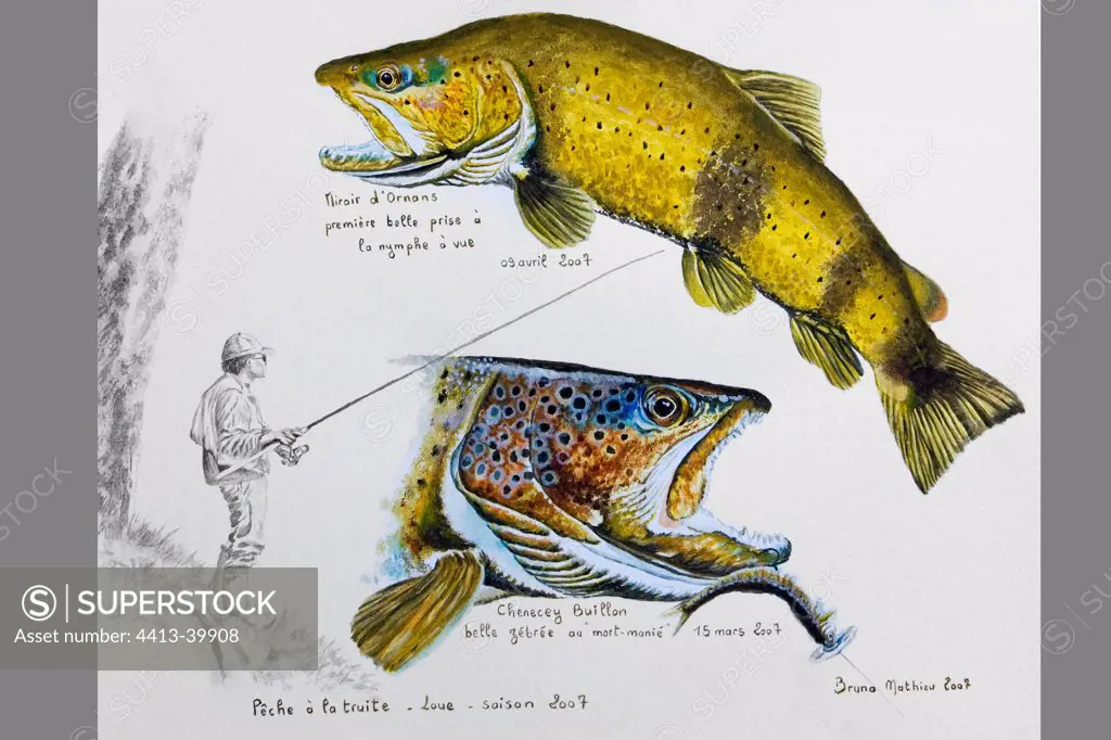 Painting of fishing for Brown Trout in the Loue Doubs