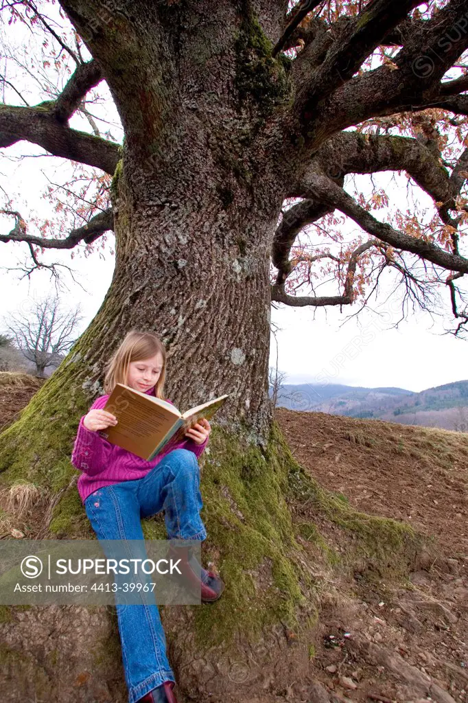 Little Girl reading a book at the foot of an Oak Alsace