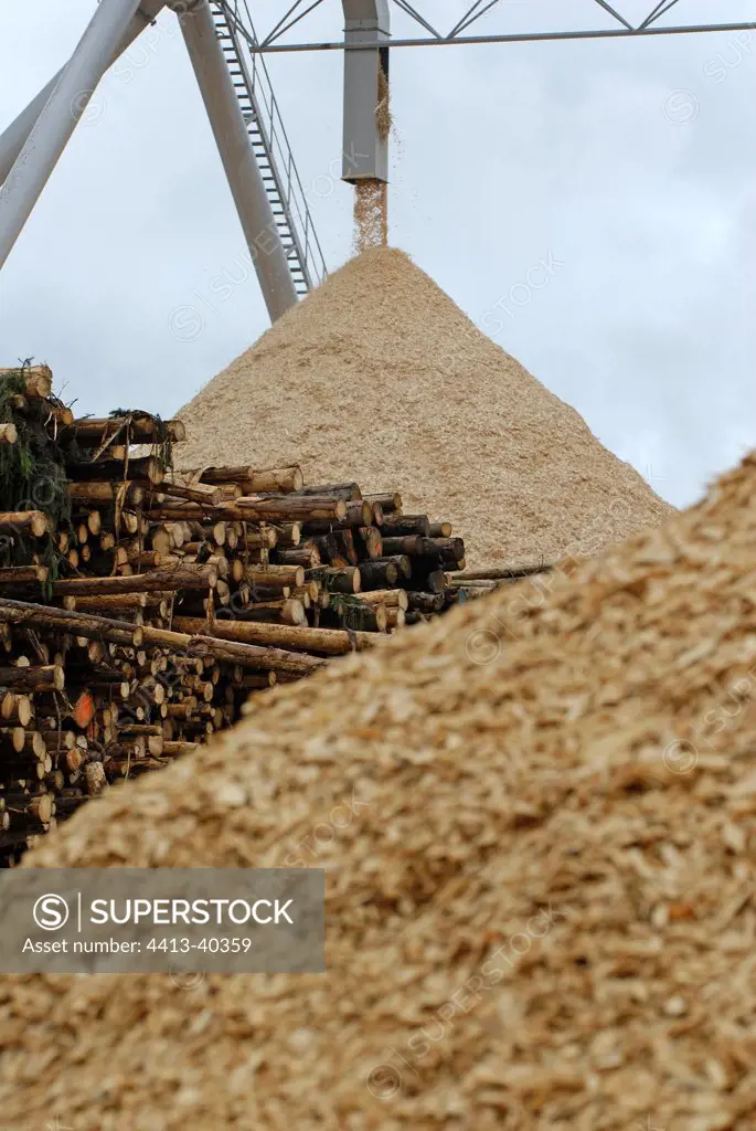 Stock of logs for the manufacture of paper pulp certified