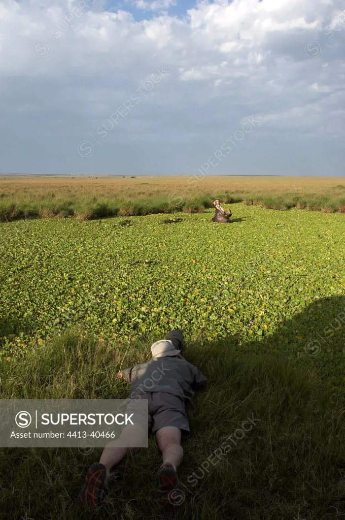 Photographer and Hippopotamus Masai Mara Reserve Kenya