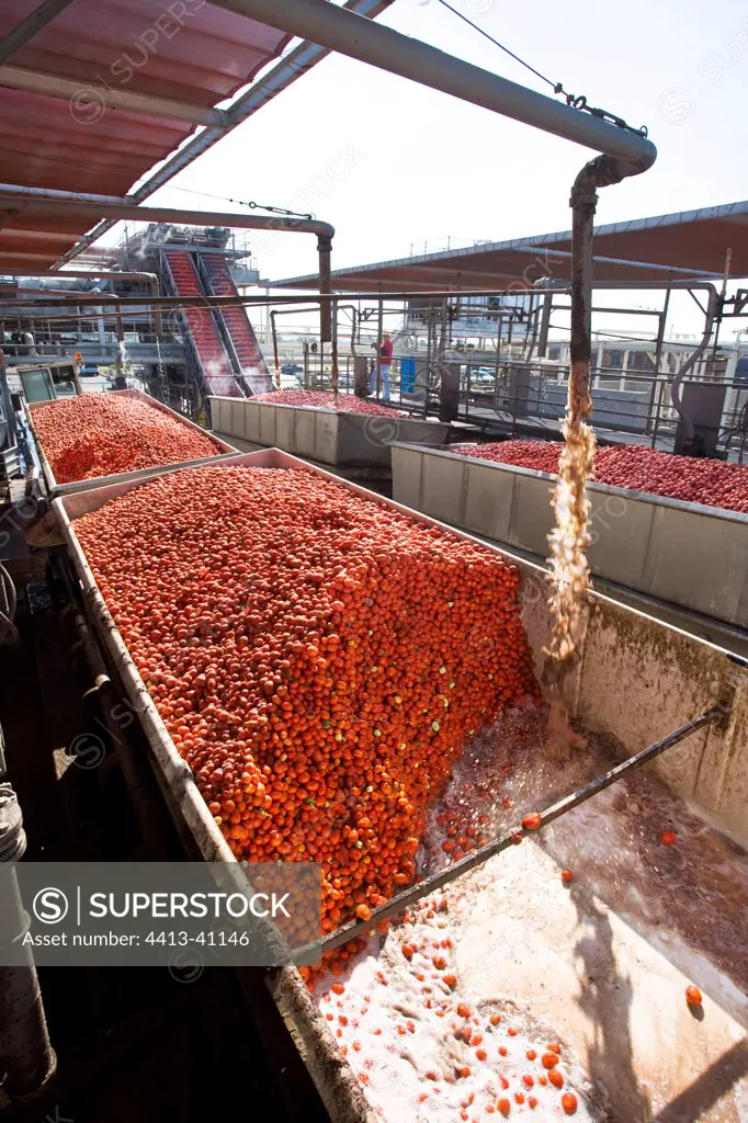 Tomato juice factory in Lemoore California USA