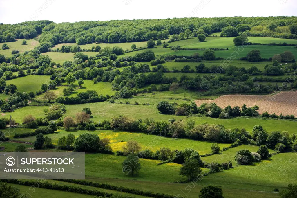 Landscape of hedged farmland in Bourgogne France