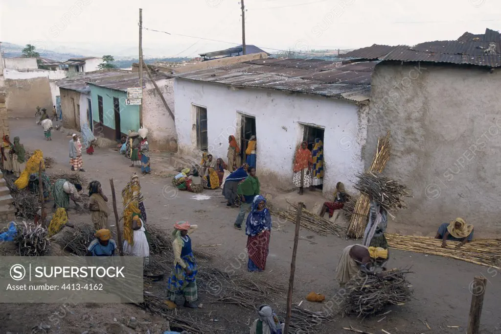 Preparation of wood faggots in the street Harar Ethiopia