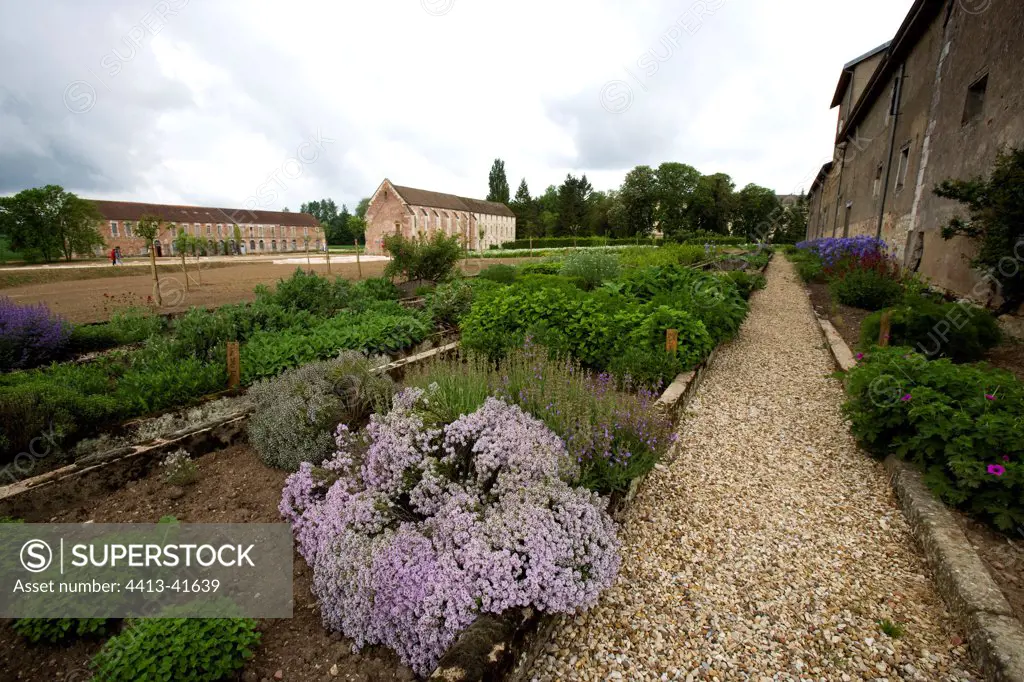 Garden of the Citeaux Abbey Bourgogne France