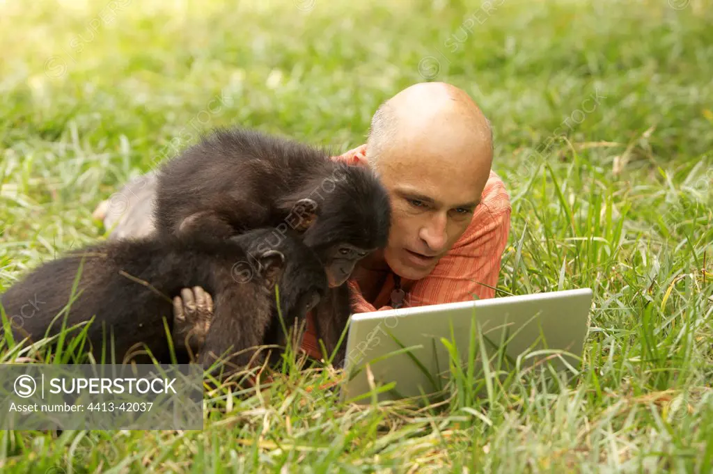Bonobos and laptop