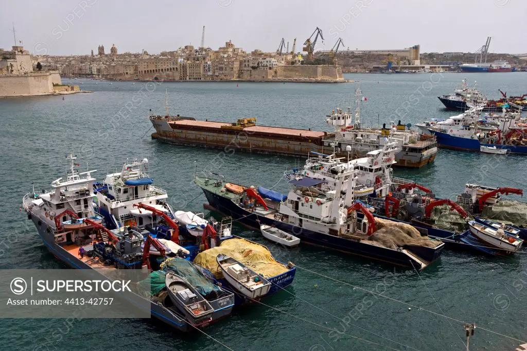 Tuna fishing boats in the harbour of Valletta Malta