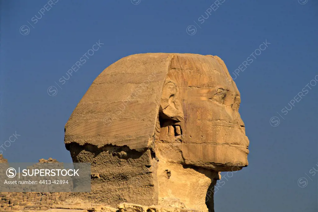 Portrait of the Sphinx at Gizeh Egypt