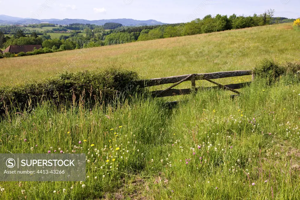 Barrier for livestock in front of a meadow Bourgogne France