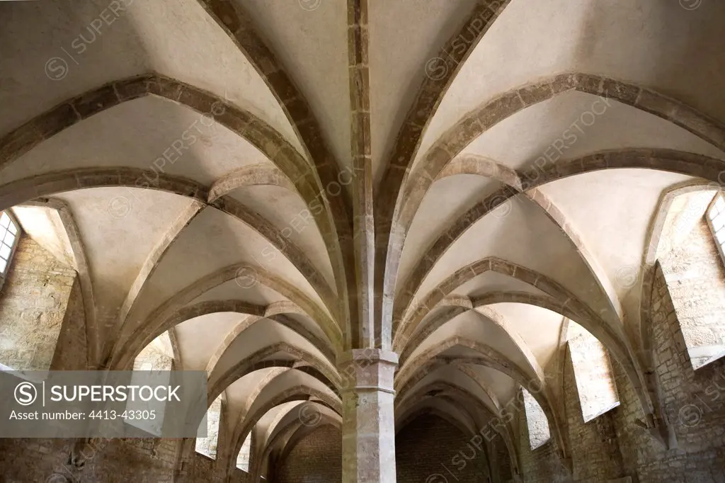 Stone vaults at the Abbey of Cluny Bourgogne France