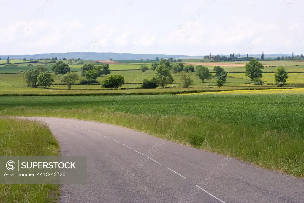 Countryside road in an agricultural landscape Bourgogne