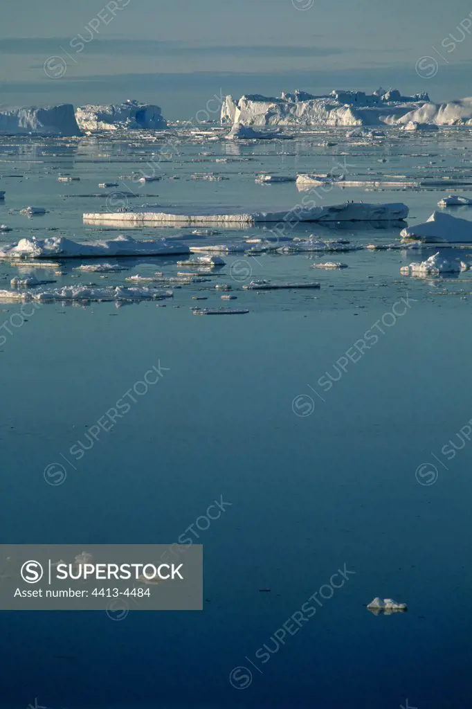 Icebergs and pack Terre Adélie Antarctica