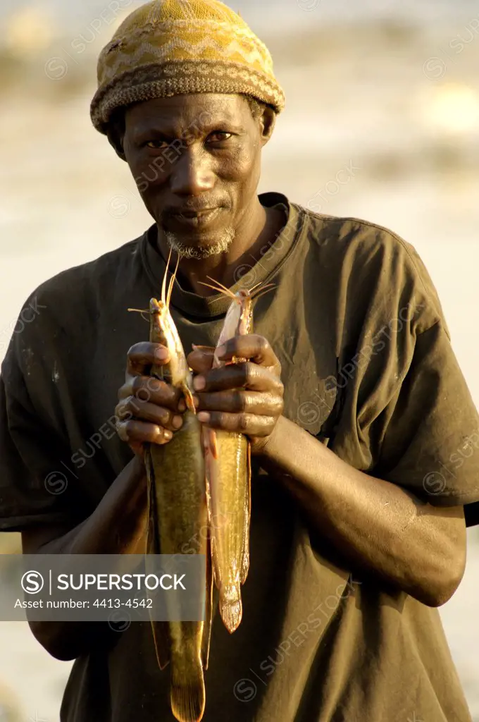 Fisherman showing sheatfishs which it has just fished Mali