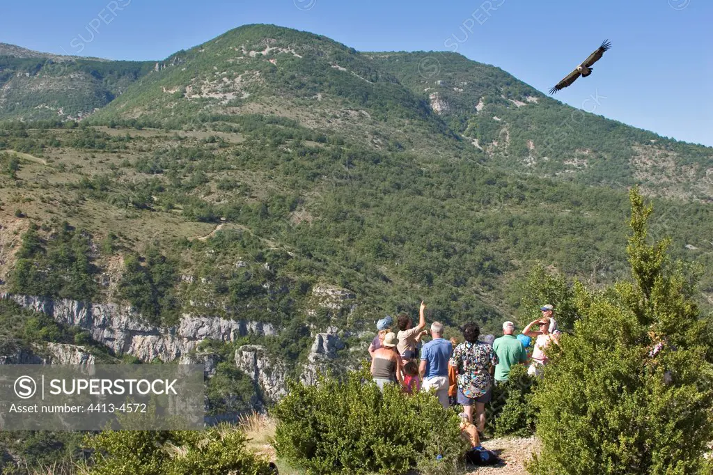 Guide showing a Vulture with tourists Drome France