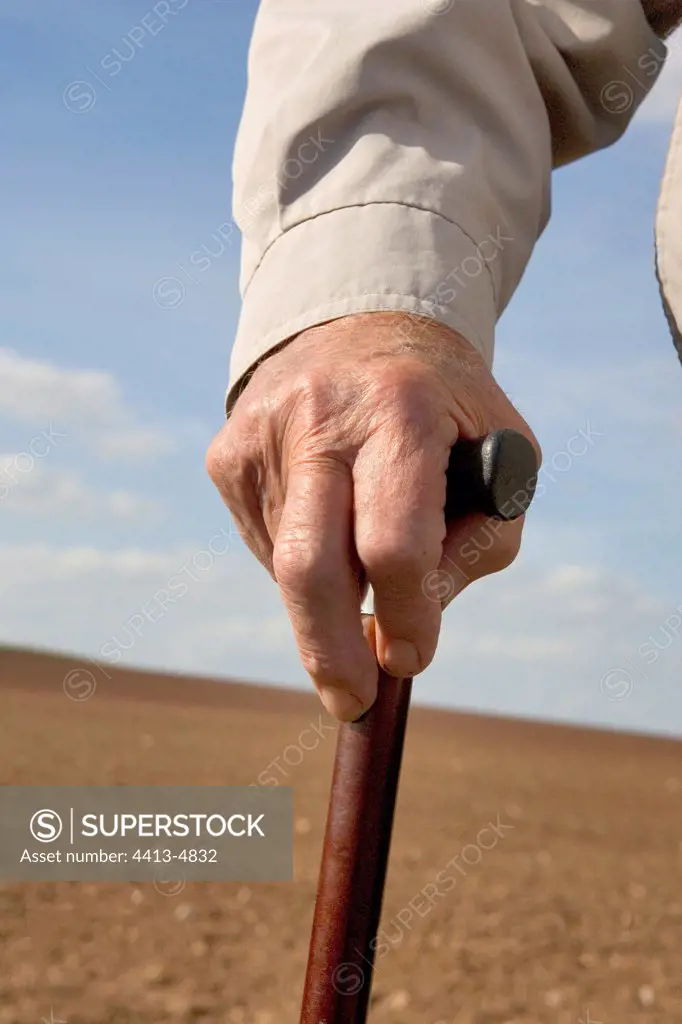 Hand of a retired farmer with a walking stick France