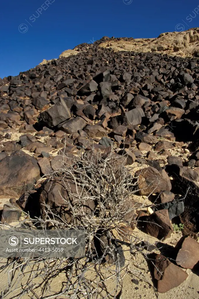 Accumulation of dolorites on a slope Namib Namibia