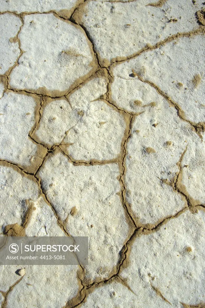 Salt crust on the ground close to the Atlantic coast Namibia