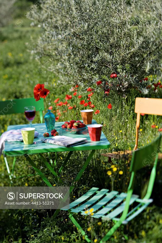 Chairs and table surrounded by poppies in Provence France