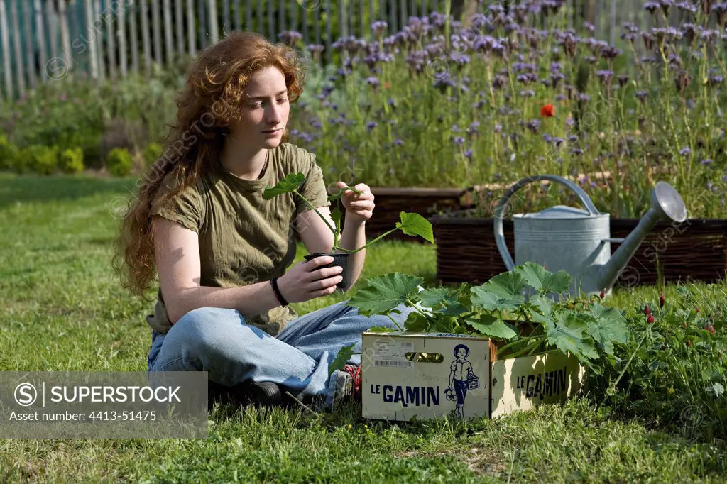 Young red-haired girl looking at a cucumber seedling