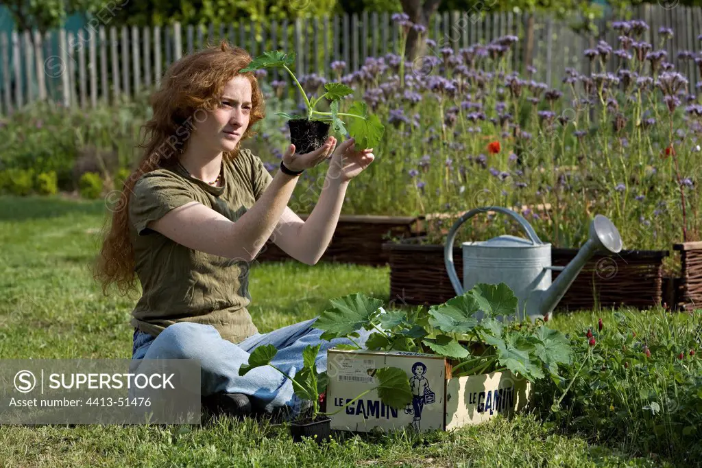Young red-haired girl looking at a cucumber seedling