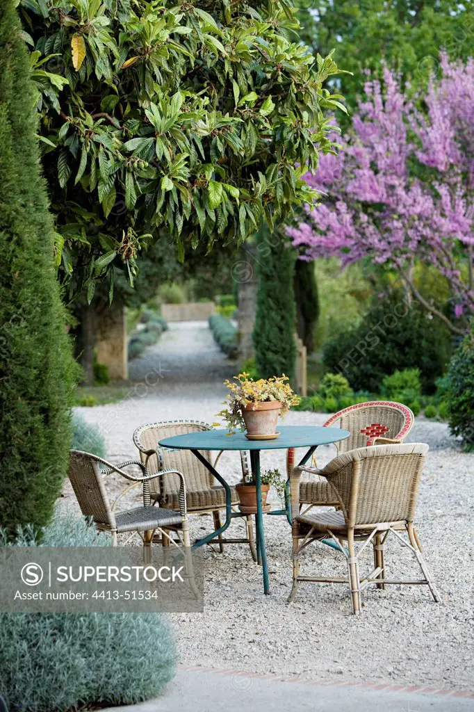 Chairs and table with Judas tree in a garden of Provence