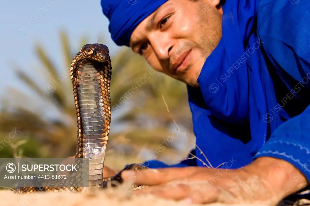 Snake charmer with an Egyptian cobra Tunisia