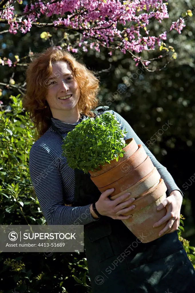 Young red-haired girl carrying a basilic in pot