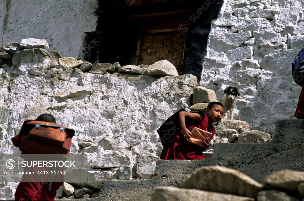 Young monks and dog Monastery Thiksey Leh India
