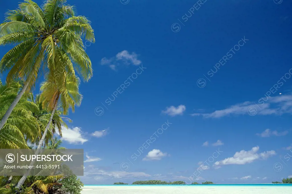 Idyllic beach French Polynesia
