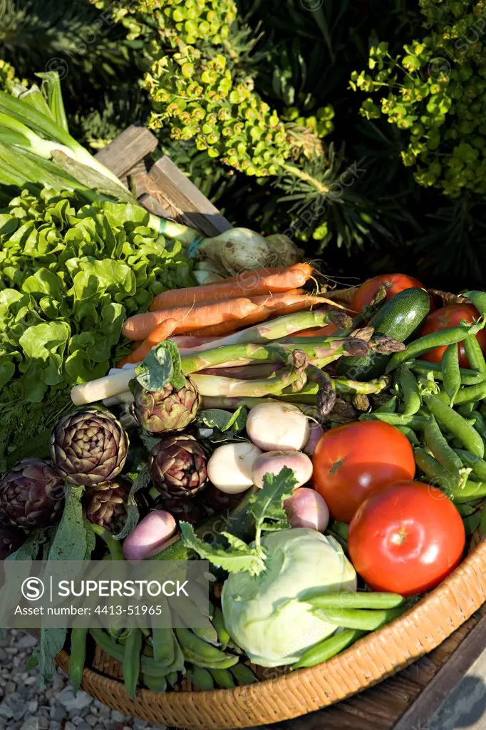 Harvest of vegetables on a tray