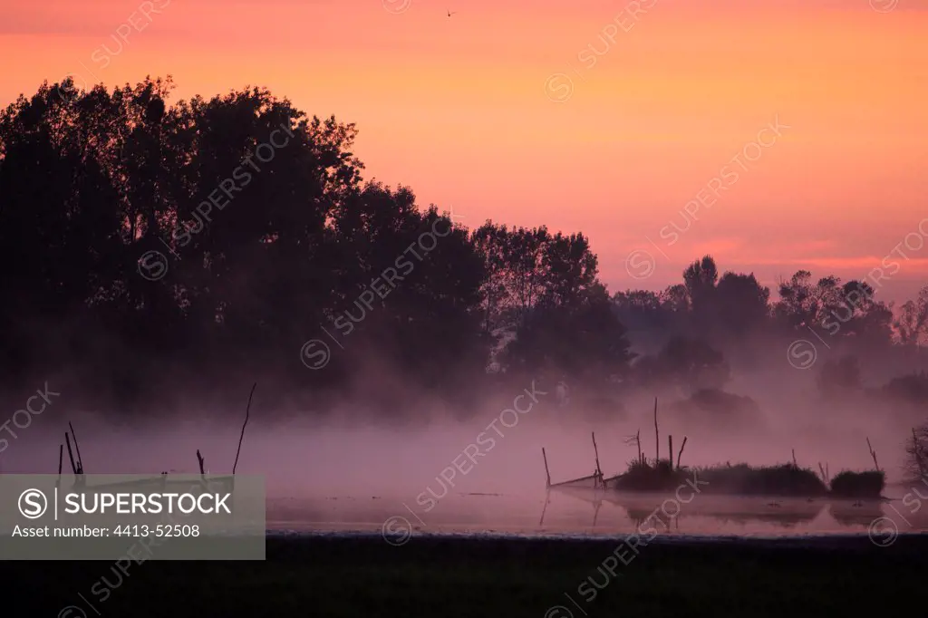 Morning mist at dawn on Brennilis Lake Bretagne France