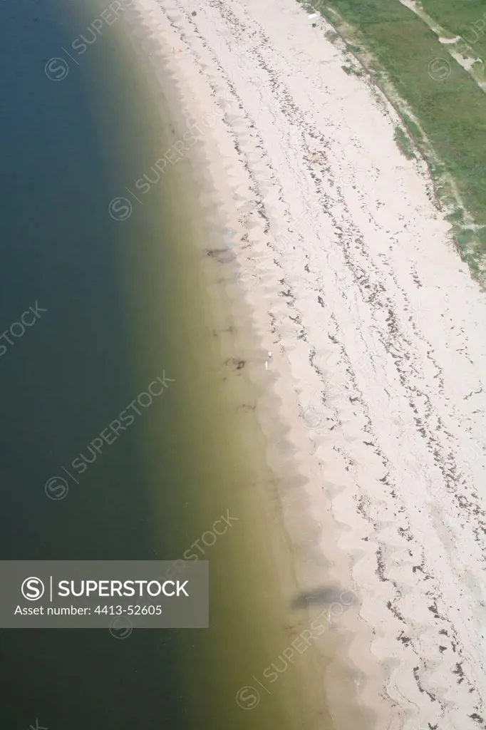 Aerial view of sandy beach in the Morbihan France