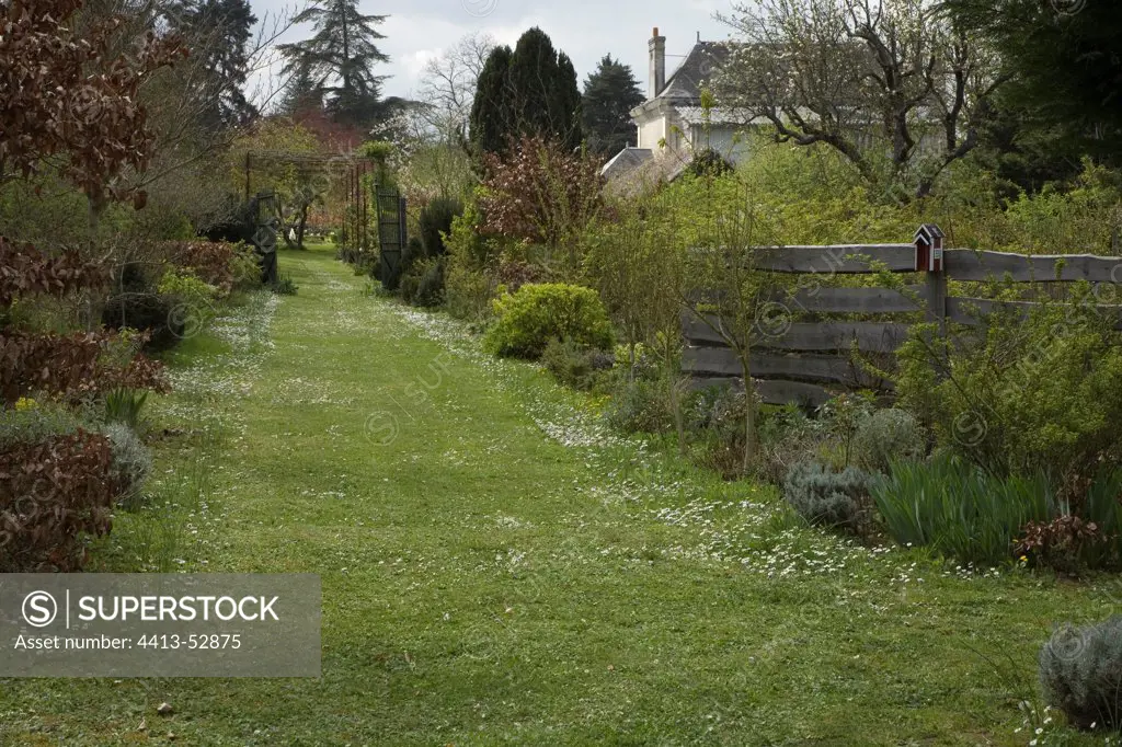 Flowered turf garden path at the garden Jardin d'Elsie