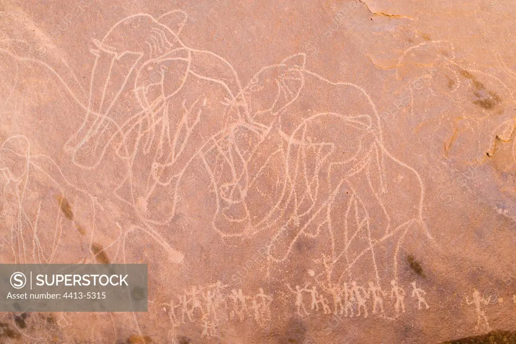Rupestral engraving of elephant Tassili ajjer Sahara Algeria