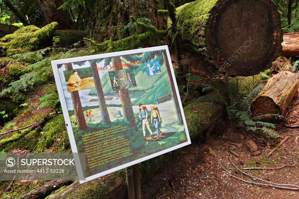 Information panel on forestry management of a forest