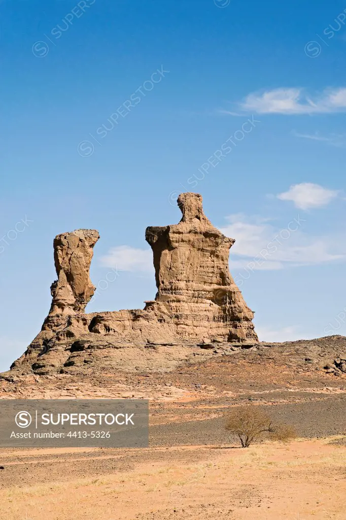 Sandstone rocks carved by erosionTassili N'ajjer Algeria