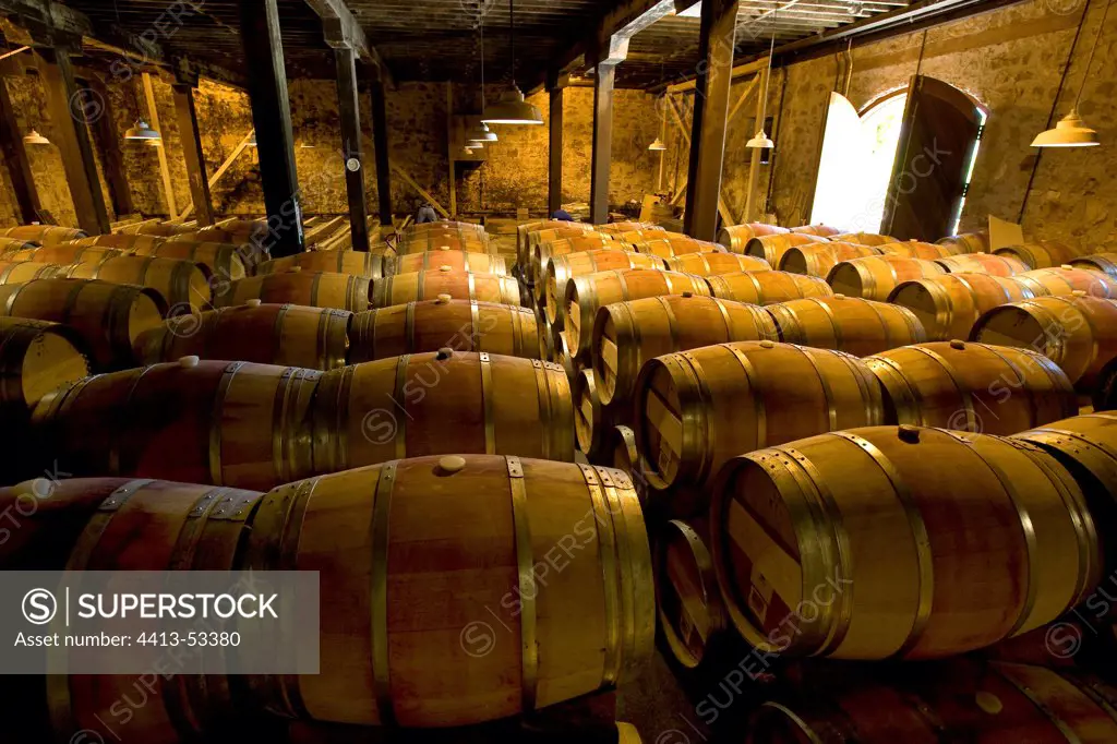 Winery 'the Hess Collection' Vineyard Napa ValleyUSA